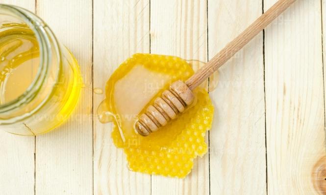 فوائد عسل السدر الصحية والغذائية كل ما تحتاج معرفته عن هذا الكنز